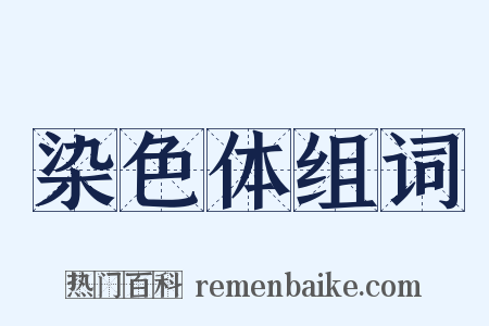 染色体组词是什么意思的图片